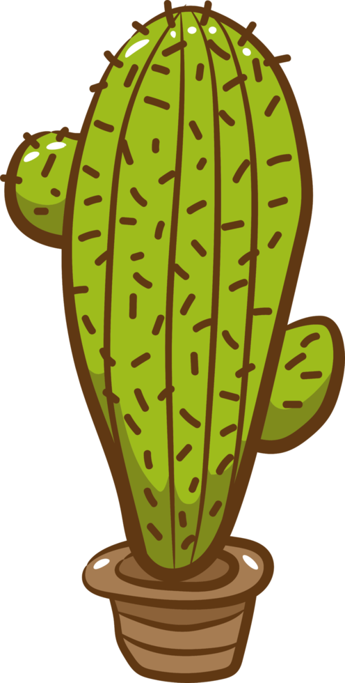 cactus png gráfico clipart diseño