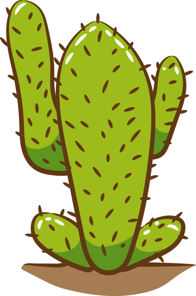 Cactus png graphic clipart design