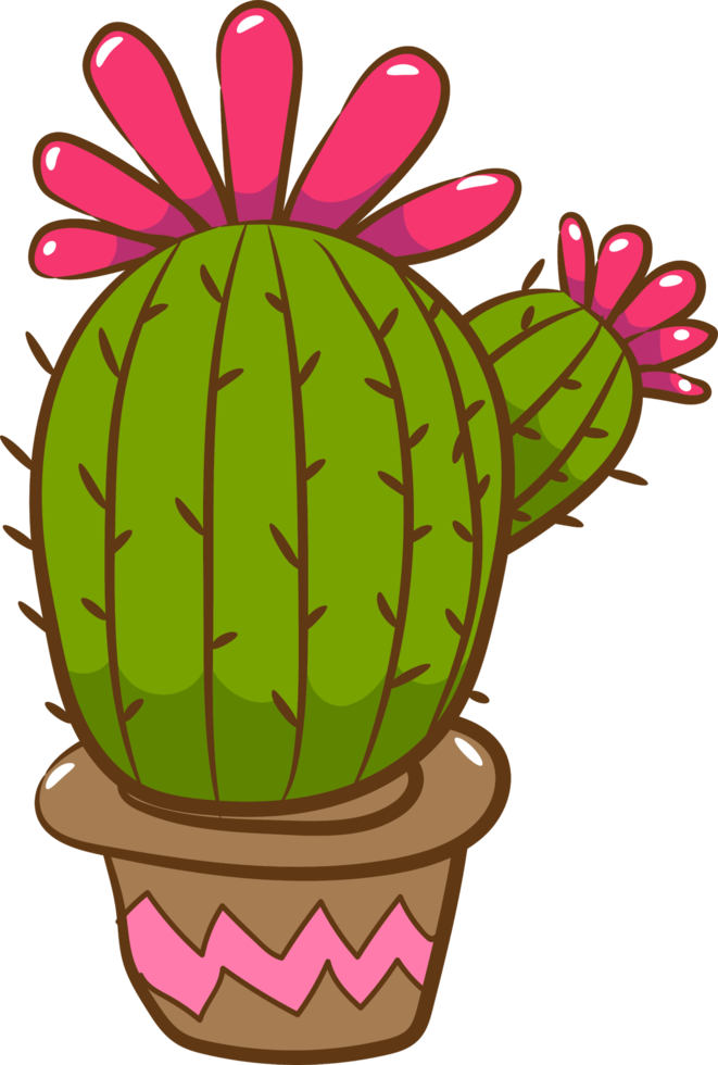 Cactus png graphic clipart design