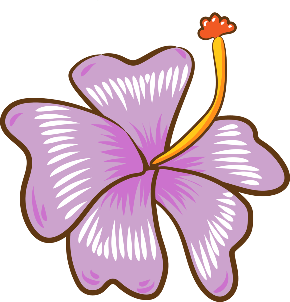 hibiscus png graphique clipart conception