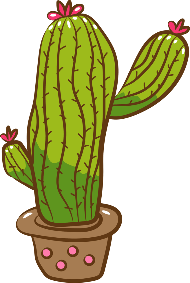 Cartoon Cactus Potted Plant Plant Cactus PNG , Cacto Clipart