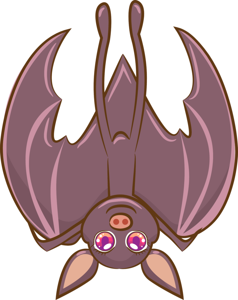 Bat png graphic clipart design