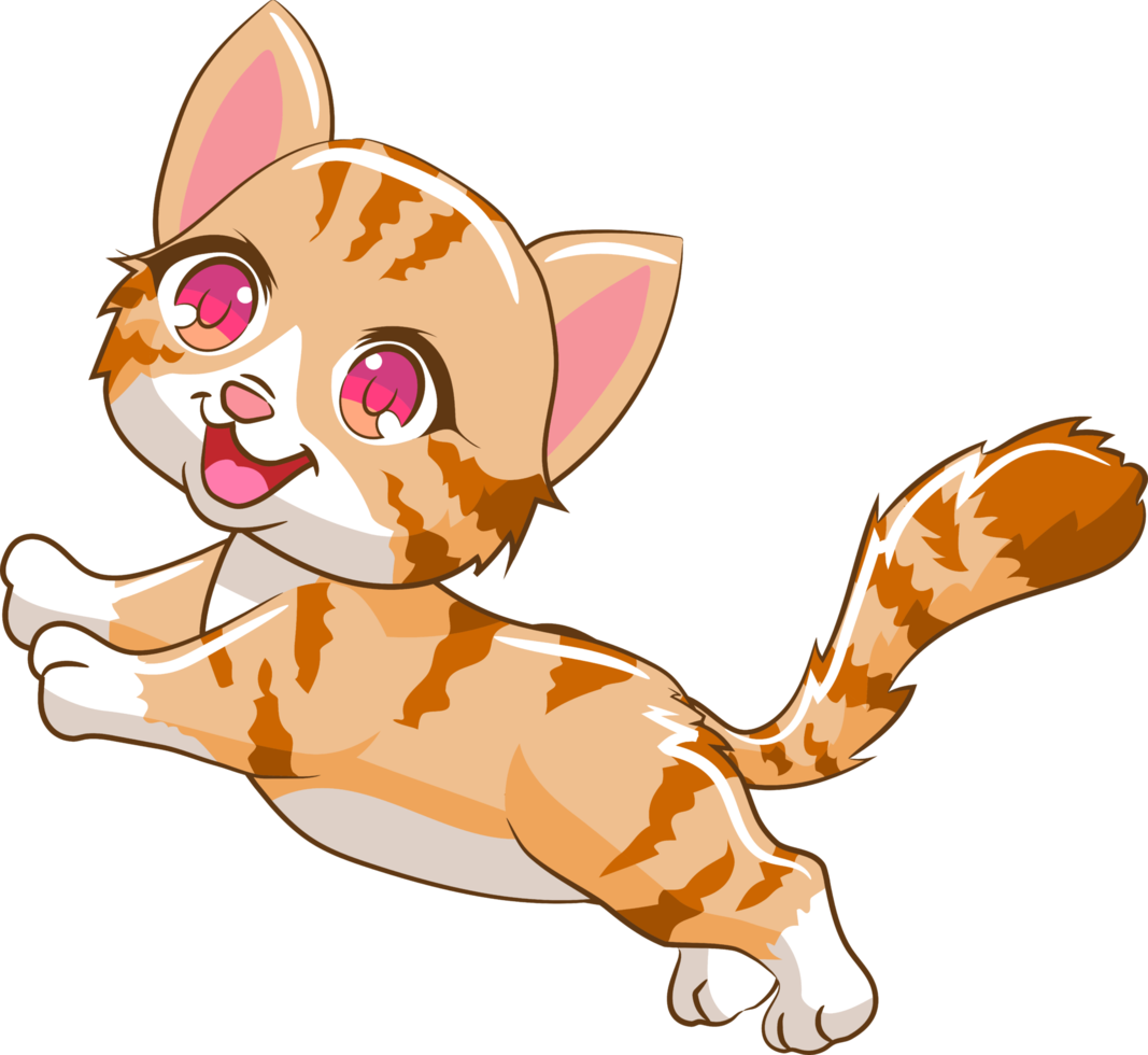 Cat png graphic clipart design