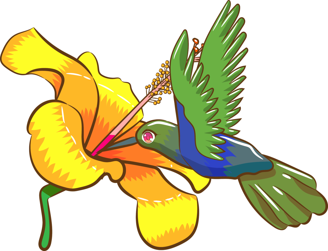 colibrí png gráfico clipart diseño