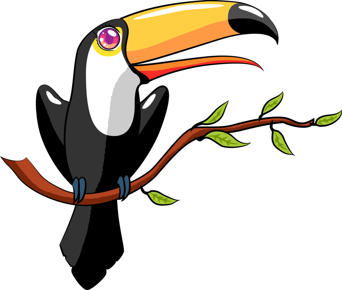 Toucan png graphic clipart design