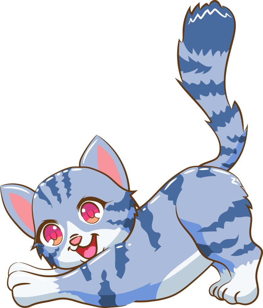 katze png grafik clipart design