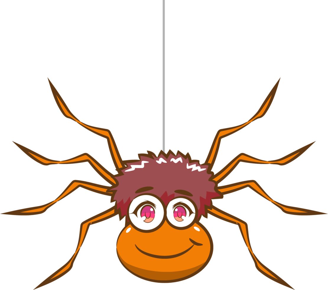 spider png graphic clipart design
