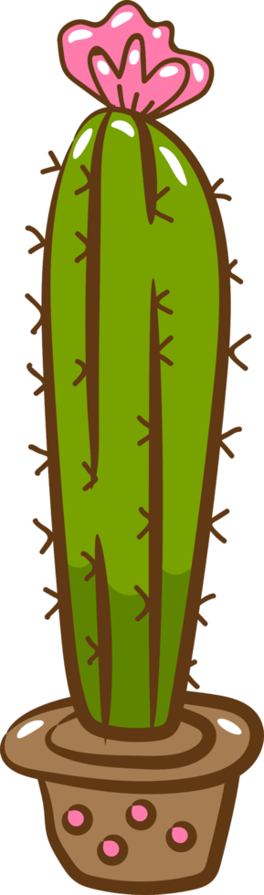 Cactus png graphic clipart design