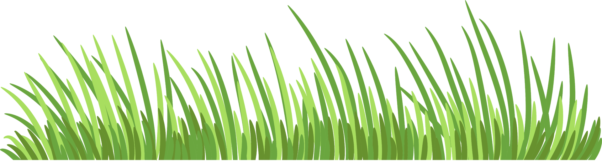 Gras PNG-Grafik-Clipart-Design png