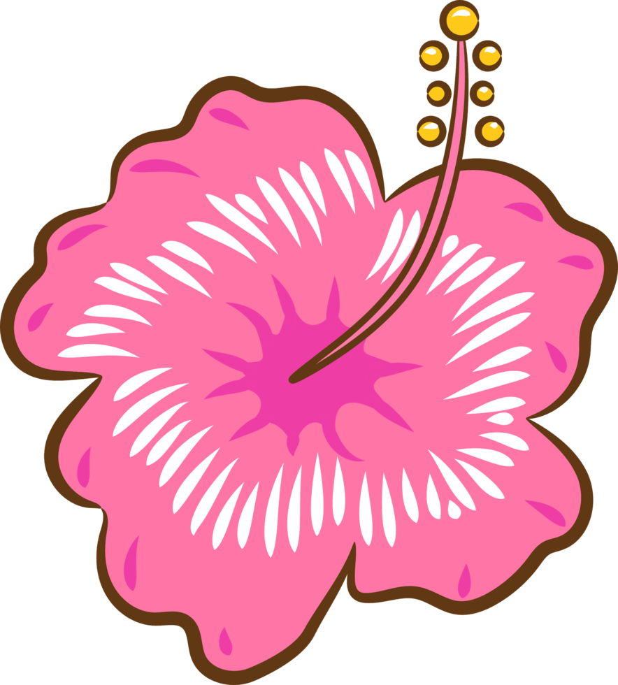 hibisco png design de clipart gráfico