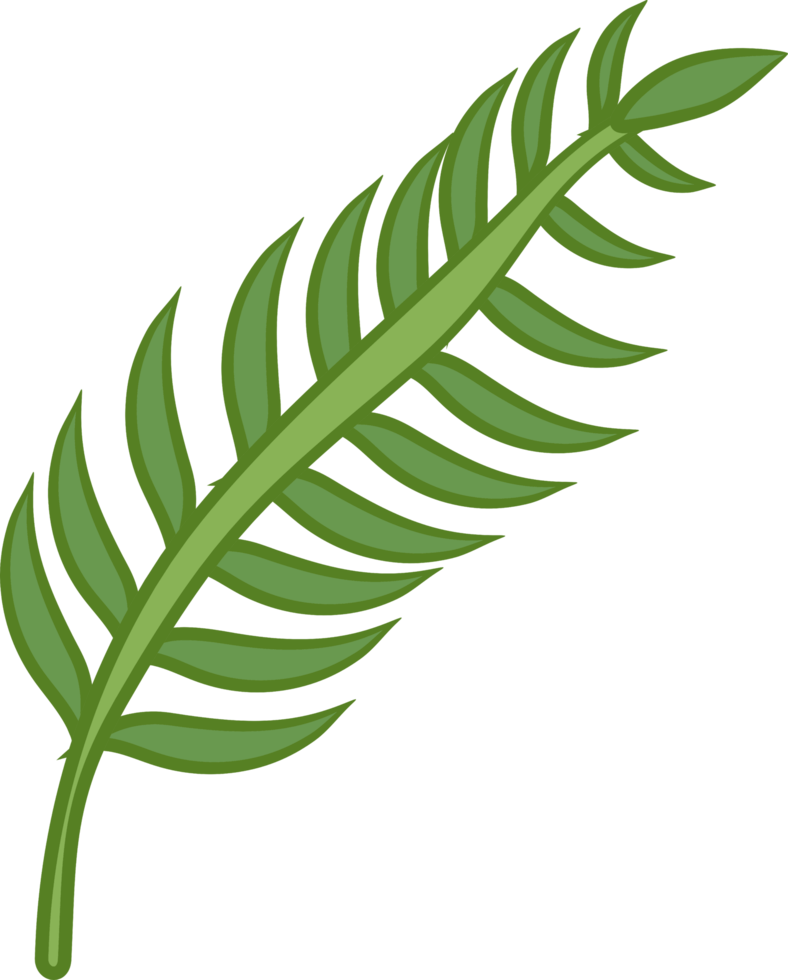 Leaf png graphic clipart design