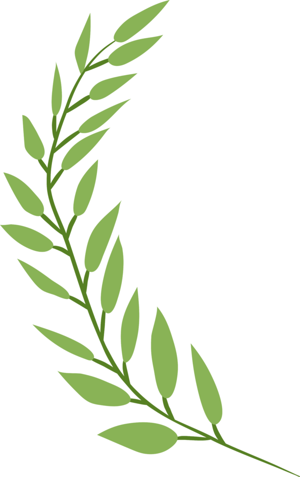 Leaf png graphic clipart design