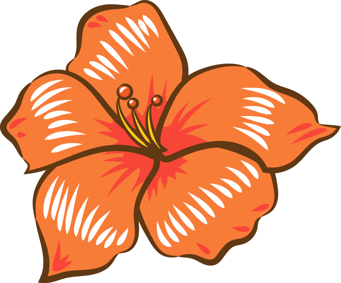 hibiscus PNG grafisch clip art ontwerp