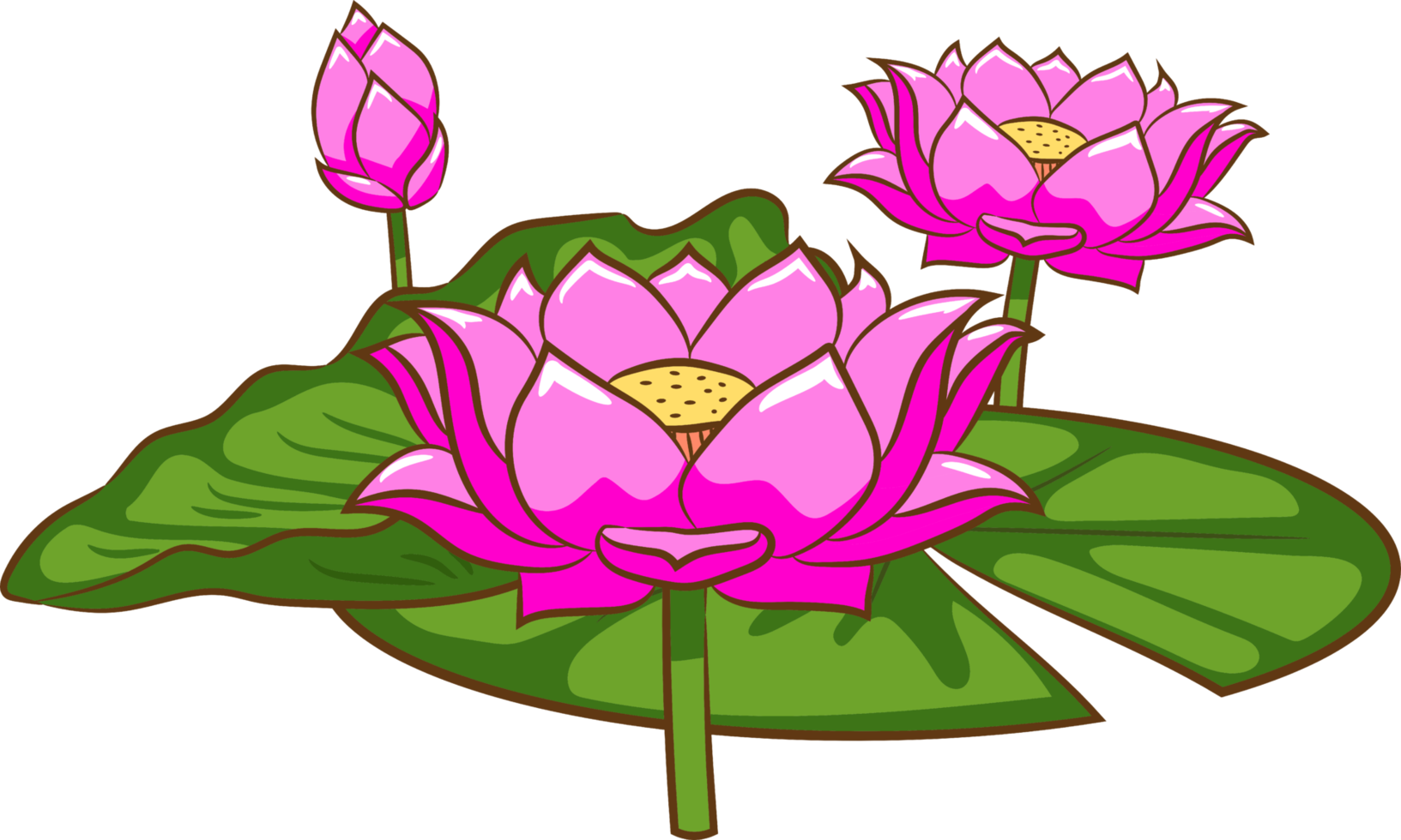 lotus png grafisk ClipArt design