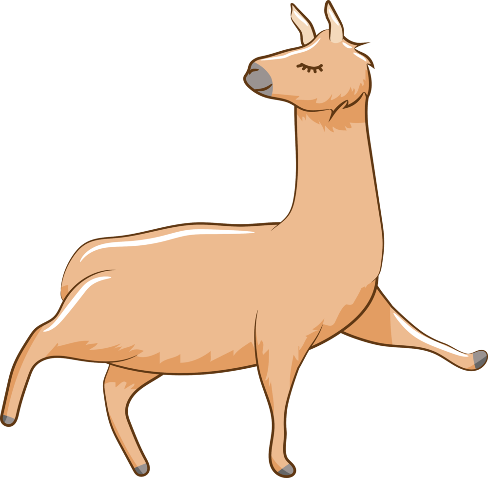 llama png graphic clipart design