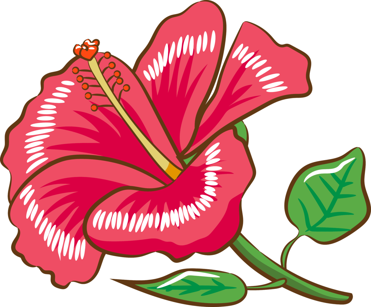 Hibiskus PNG-Grafik-Clipart-Design png