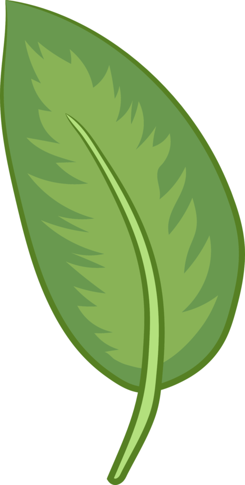 Leaf png graphic clipart design