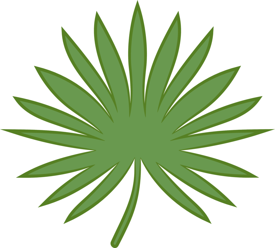 Leaf png graphic clipart design