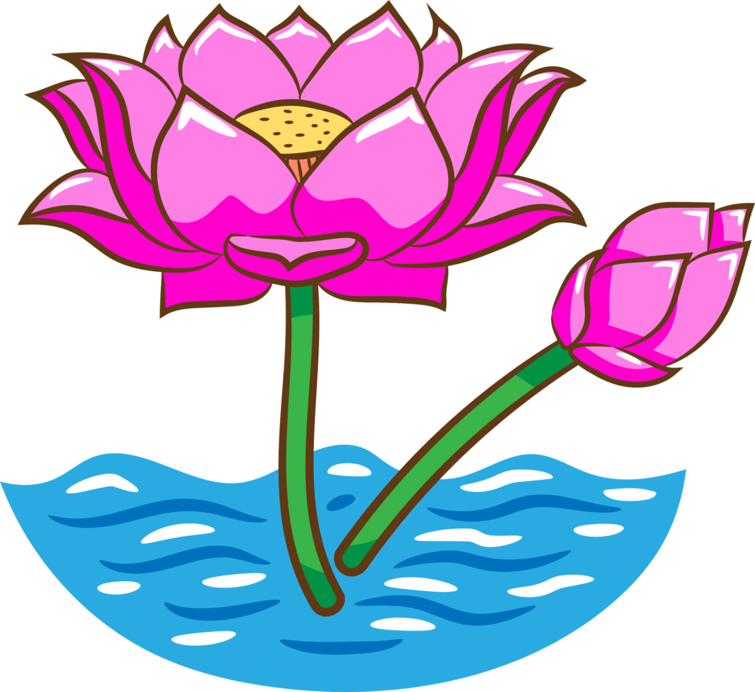 Lotus png graphic clipart design