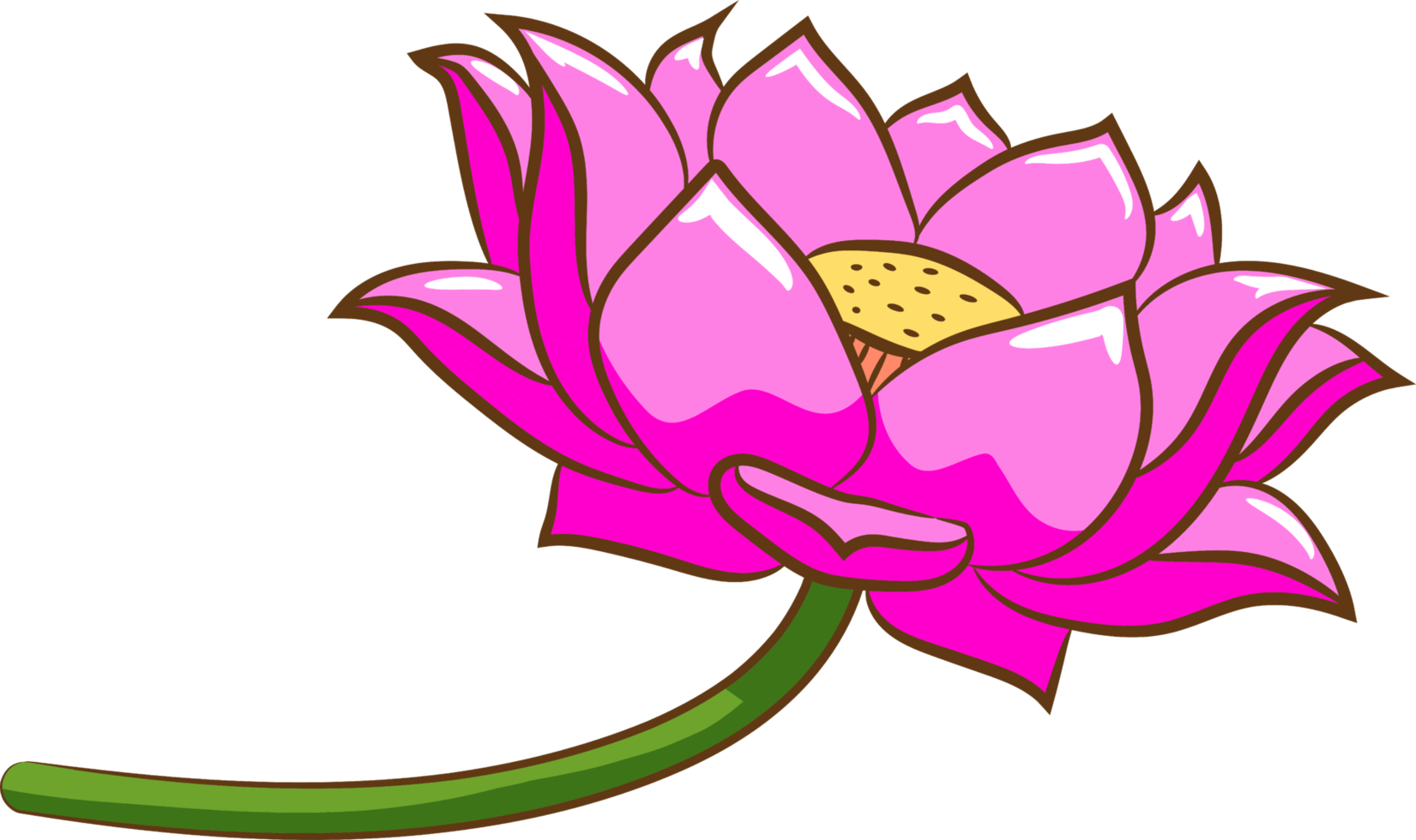 Lotus png graphic clipart design