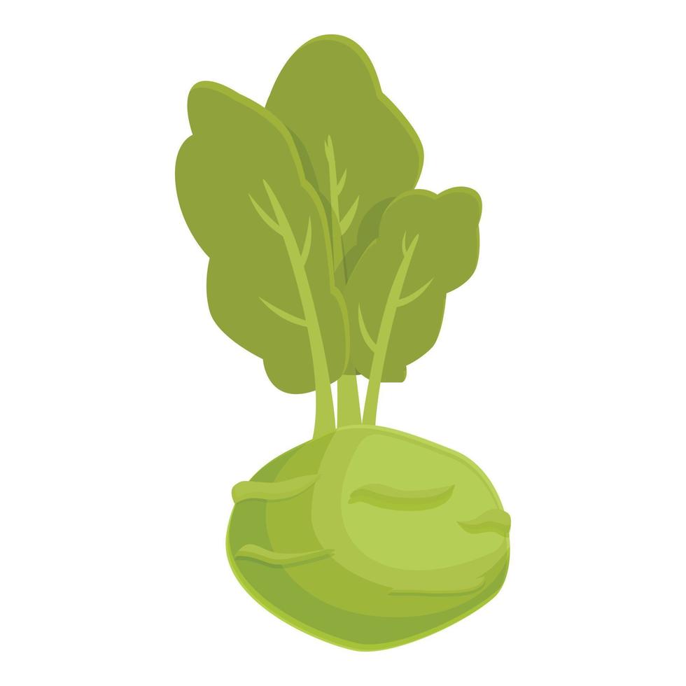 Garden kohlrabi icon cartoon vector. Healthy food vector