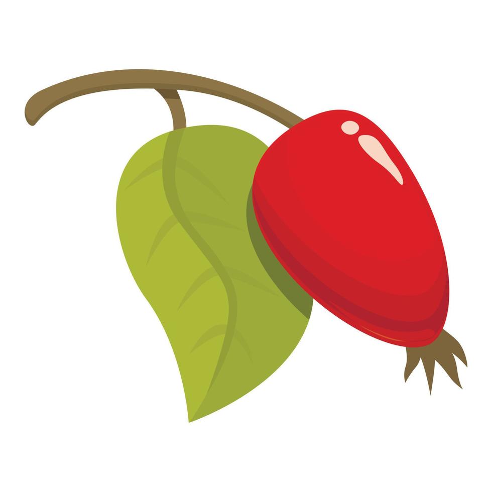 Green rosehip icon cartoon vector. Forest food vector