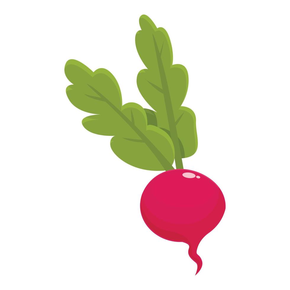 vector de dibujos animados de icono de comida de rábano. planta de ensalada