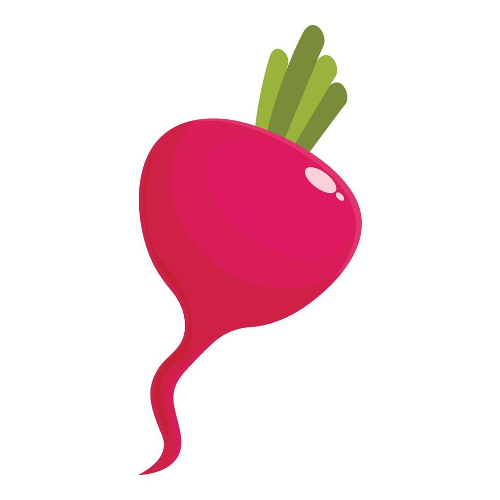Natural radish icon cartoon vector. Food plant vector
