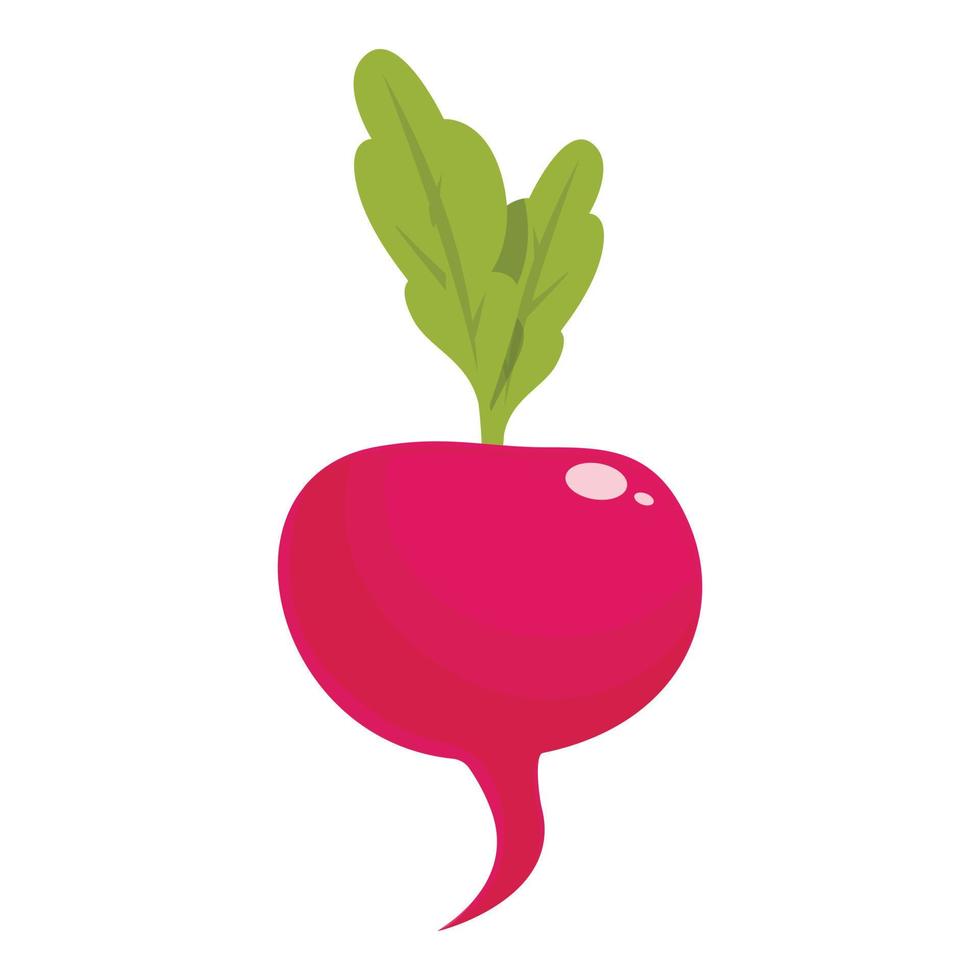 Fresh radish icon cartoon vector. Food plant vector