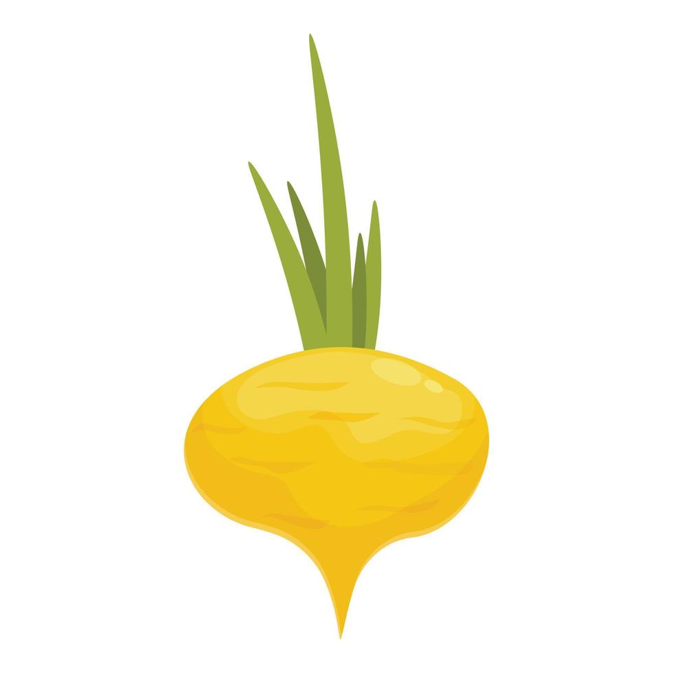 Root icon cartoon vector. Green vegetable vector