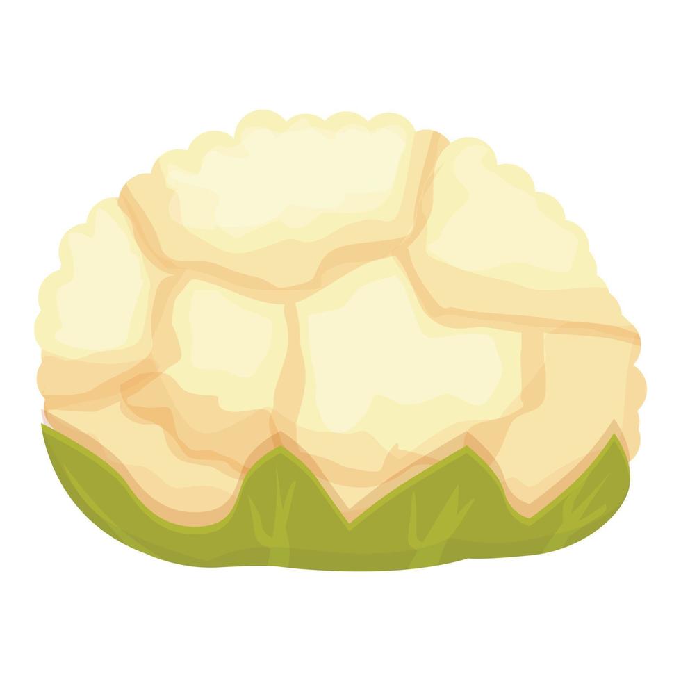 vector de dibujos animados de icono de coliflor de dieta. comida vegetal