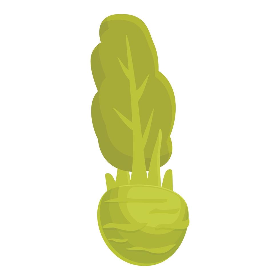 Kohlrabi icon cartoon vector. Healthy vegetable vector