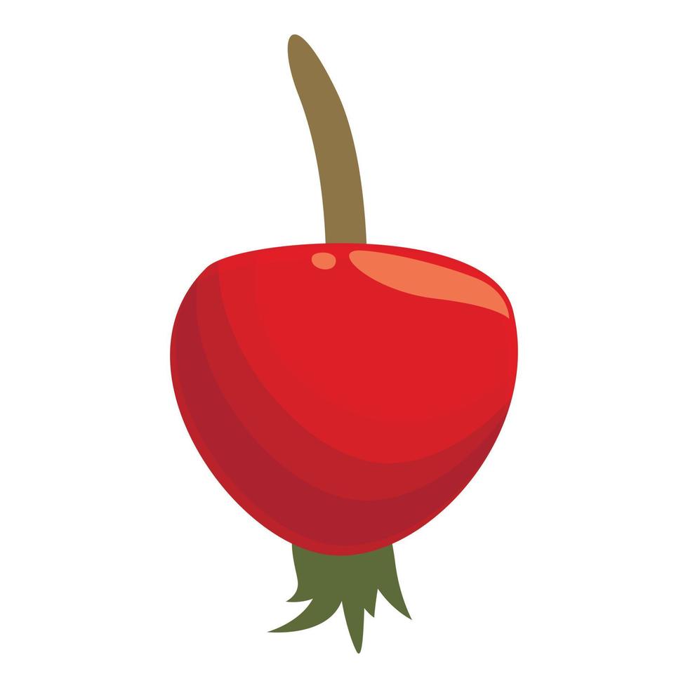 vector de dibujos animados de icono de rosa mosqueta de alimentos. frutas del bosque