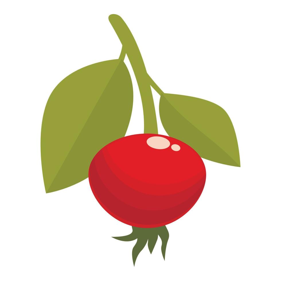 Natural rosehip icon cartoon vector. Berry food vector