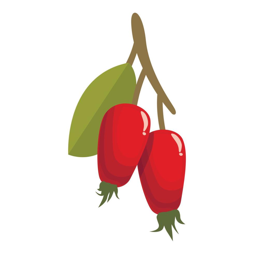 vector de dibujos animados de icono de rosa mosqueta de fruta. comida de bayas