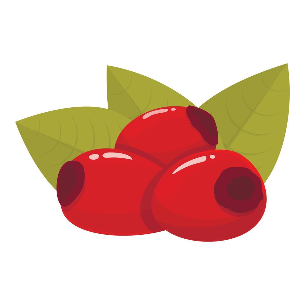 Seed rosehip icon cartoon vector. Food forest vector