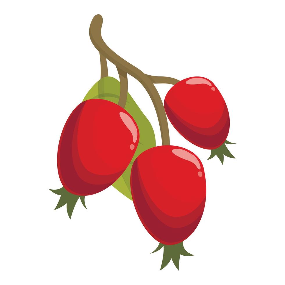 Vitamin rosehip icon cartoon vector. Berry food vector