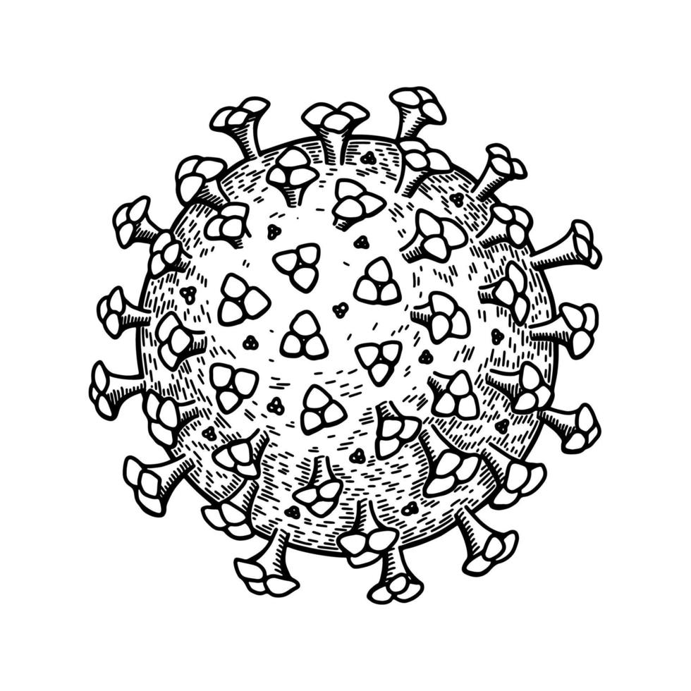 coronavirus aislado sobre fondo blanco. ilustración vectorial científica detallada realista dibujada a mano en estilo boceto vector