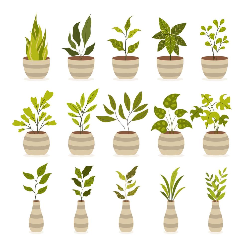 conjunto de plantas de interior en maceta vector