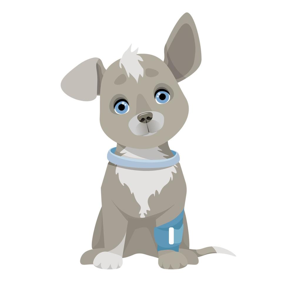 perro pequeño gris con una pata vendada vendaje azul vector