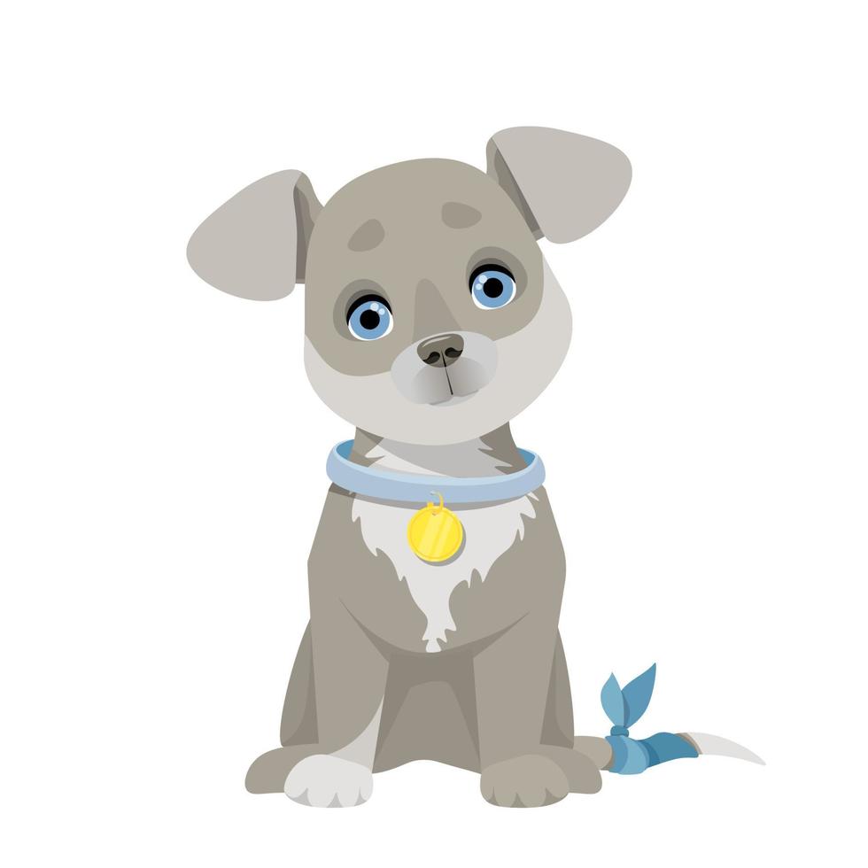 Little gray puppy with a bandaged tail vector