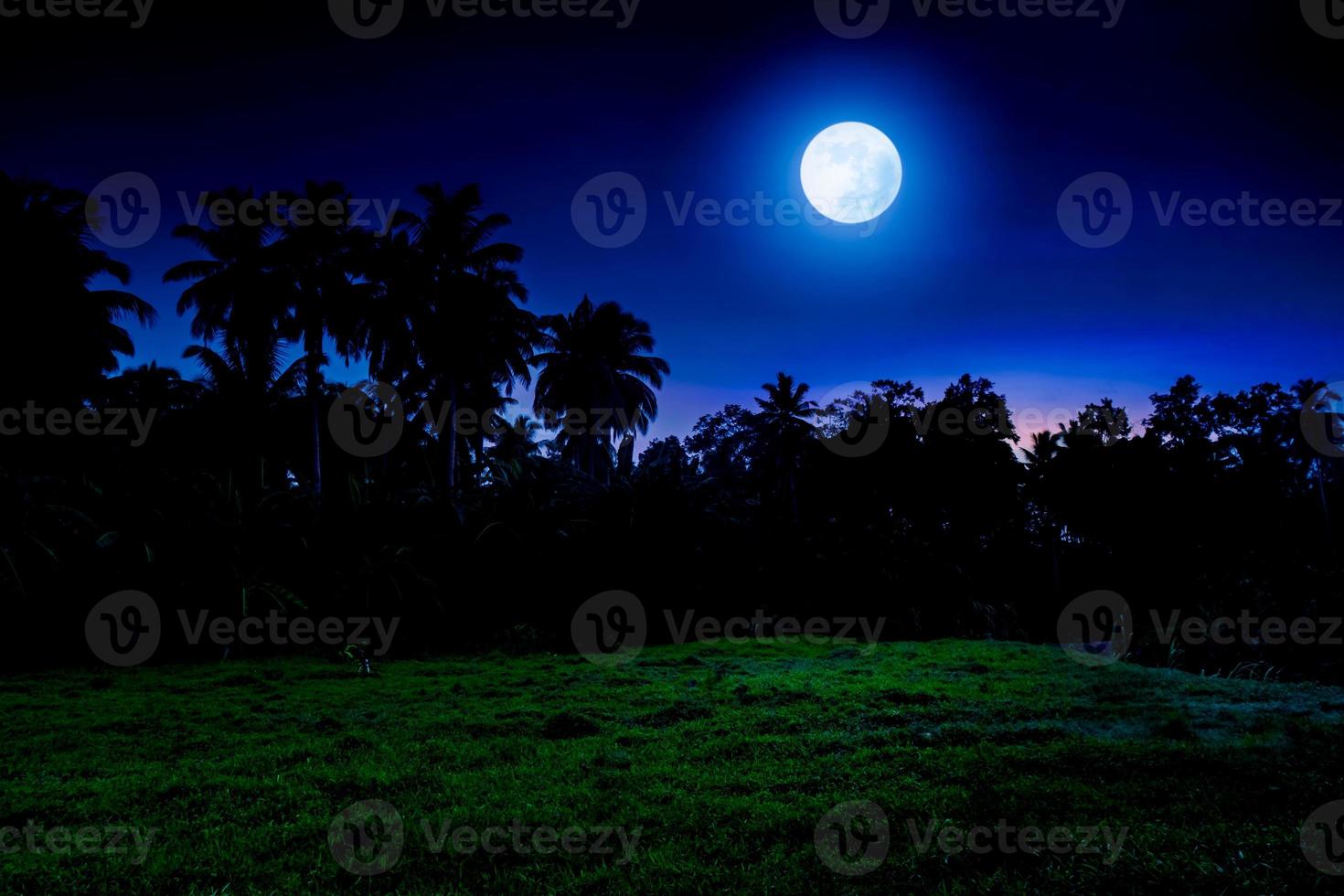 Tropical full moon night landscape with grass field photo