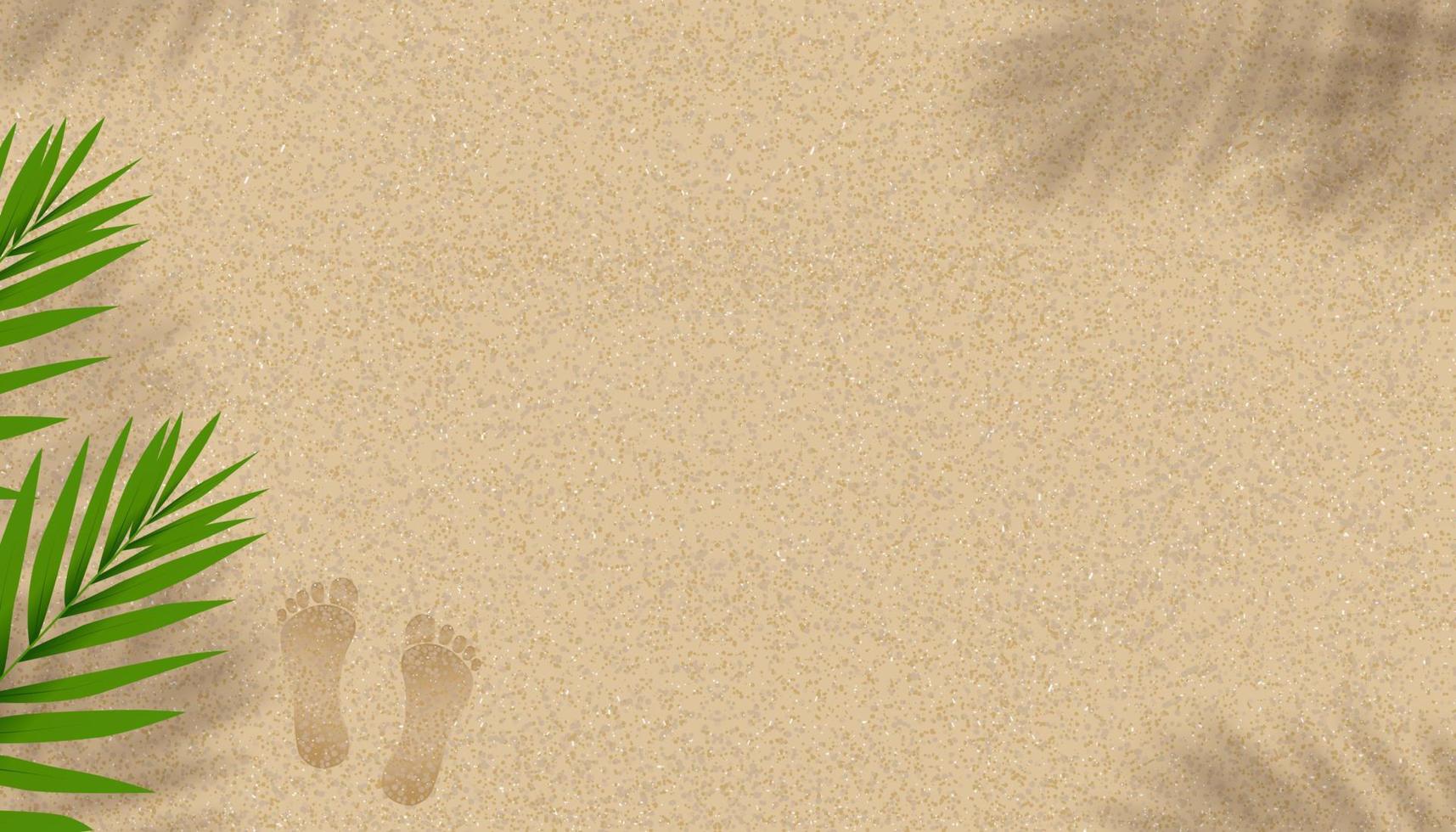 fondo de textura de playa de arena con sombra de hojas de palma de coco y huellas, fondo de horizonte vectorial con silueta descalza y hoja tropical en duna de arena de playa marrón para pancarta de verano vector