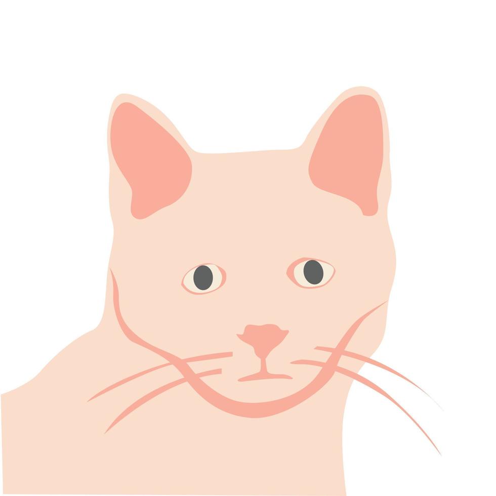 Vector cat character cute cat