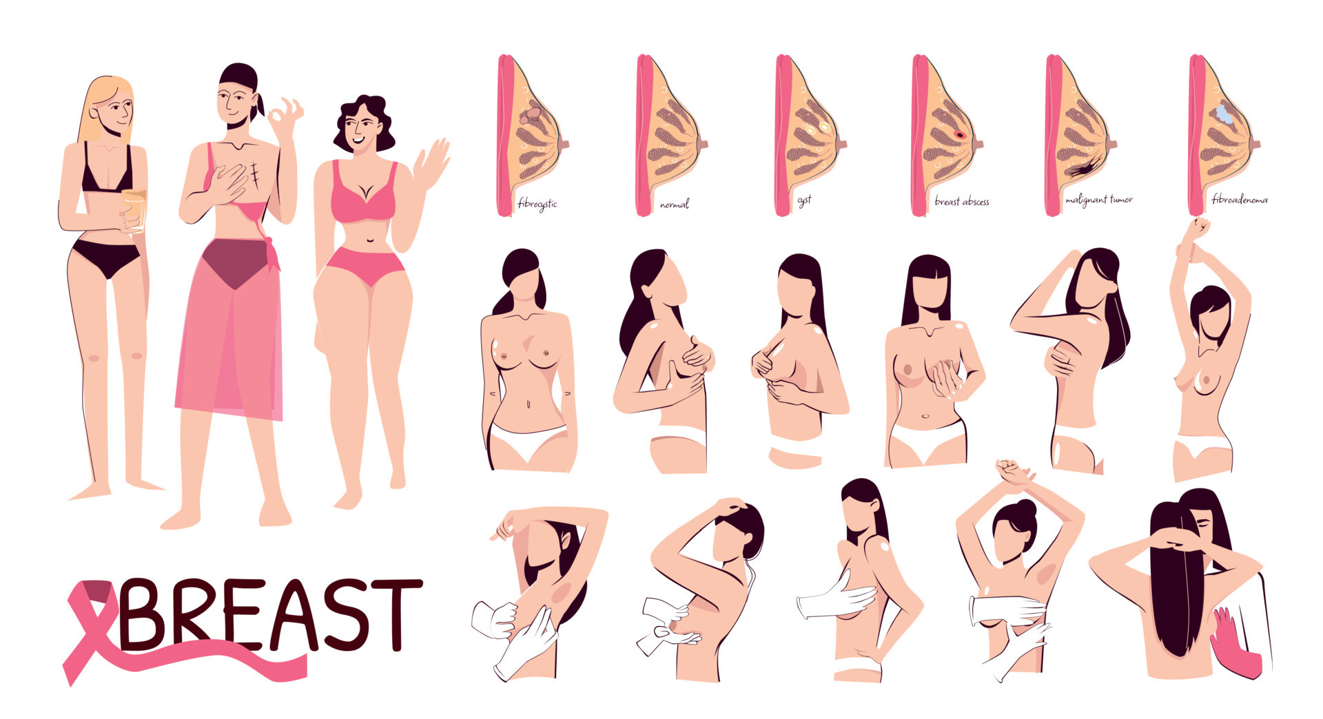 Breast Woman Flat Set 19155508 Vector Art at Vecteezy