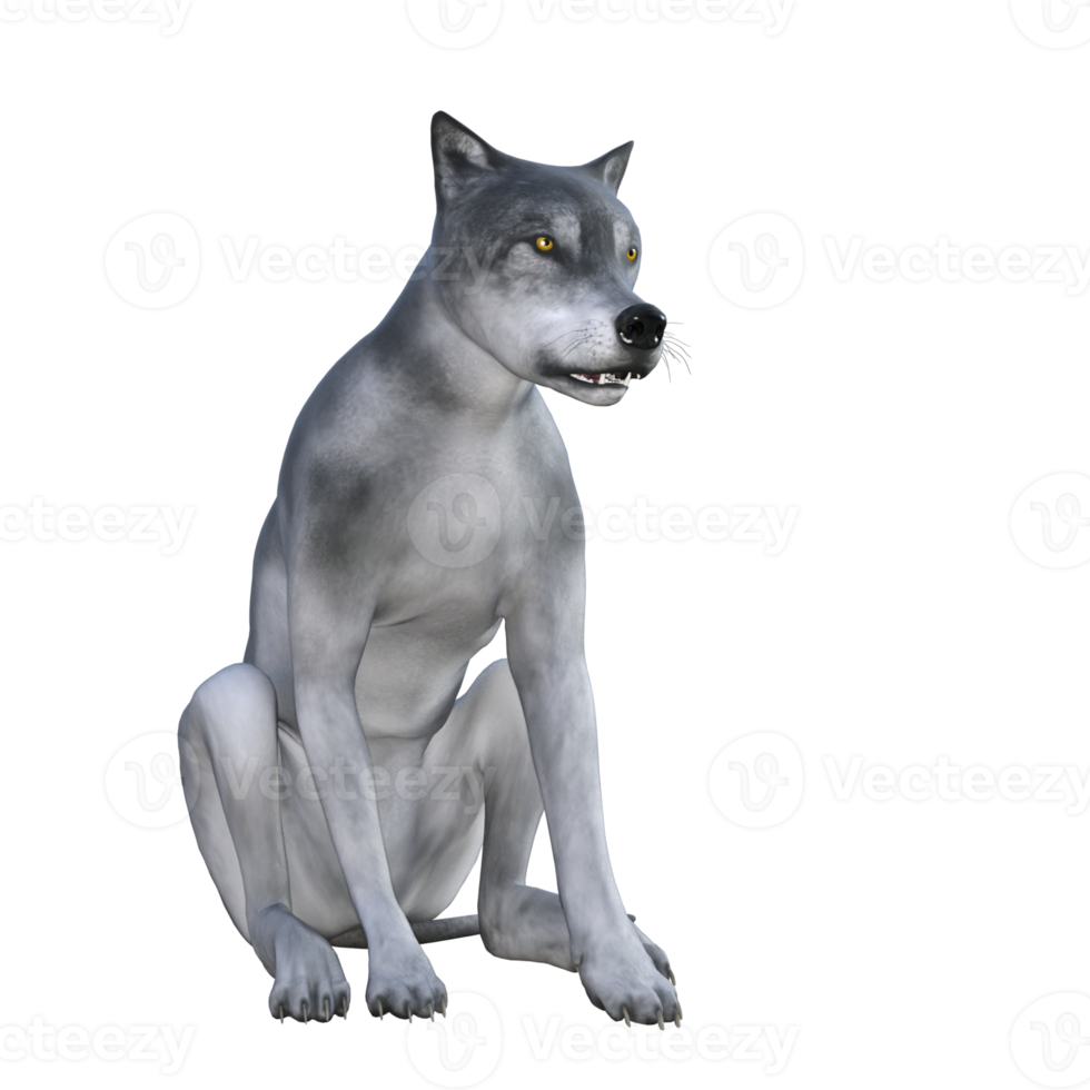 Wolf isoliert 3D-Rendering png