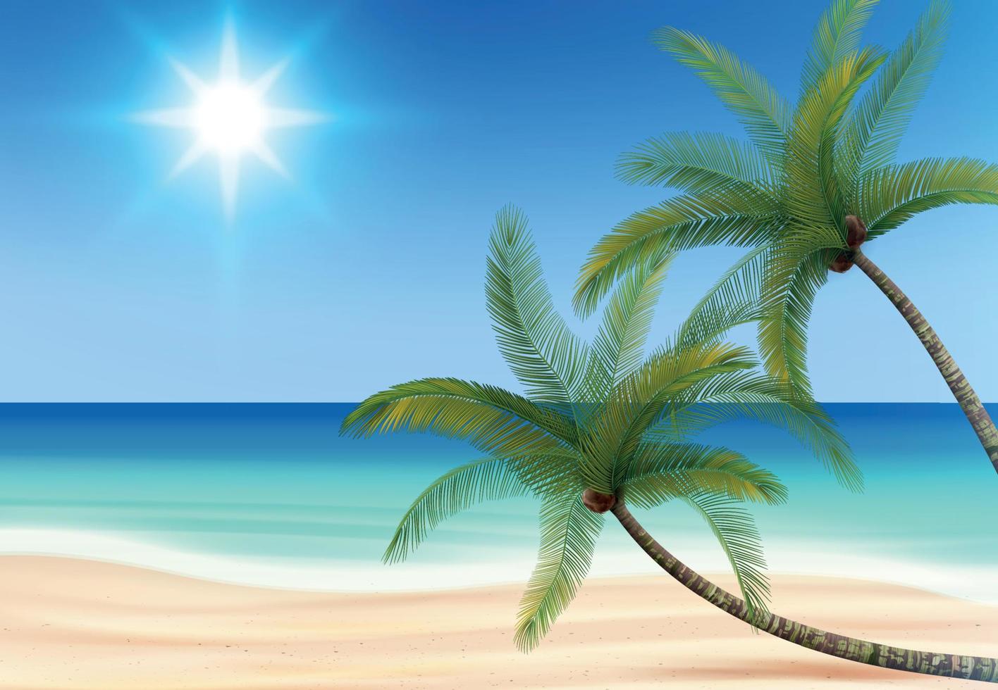 Beach Daylight Palms Composition vector