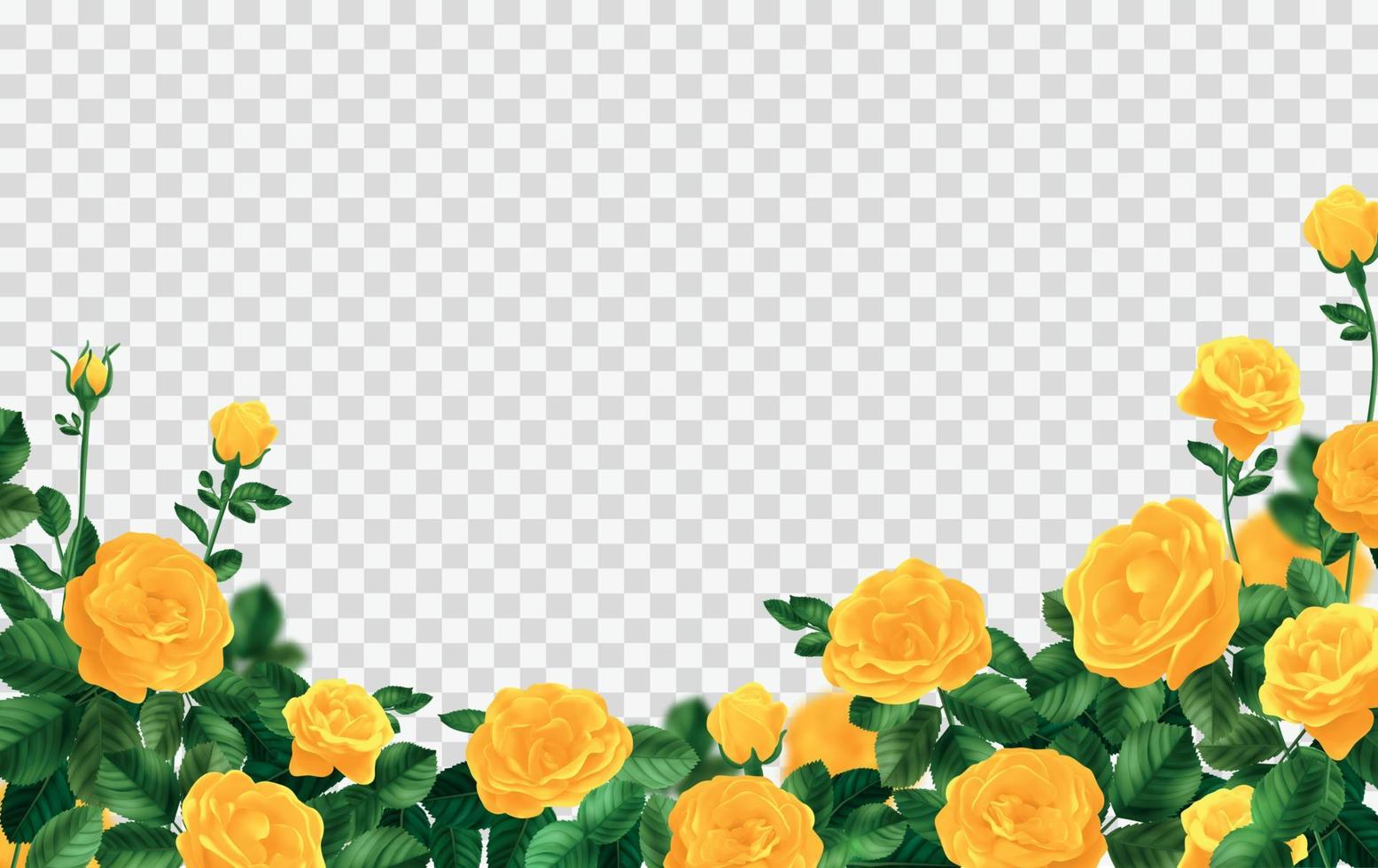 Yellow Rose Bush Frame vector