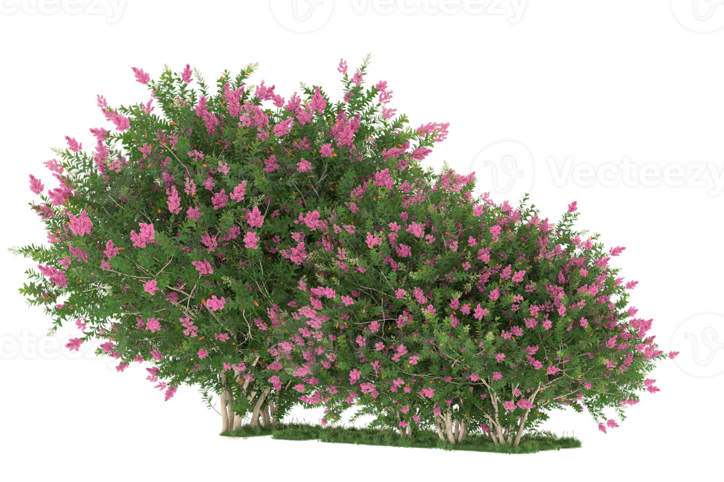 Realistic forest isolated on transparent background. 3d rendering - illustration png