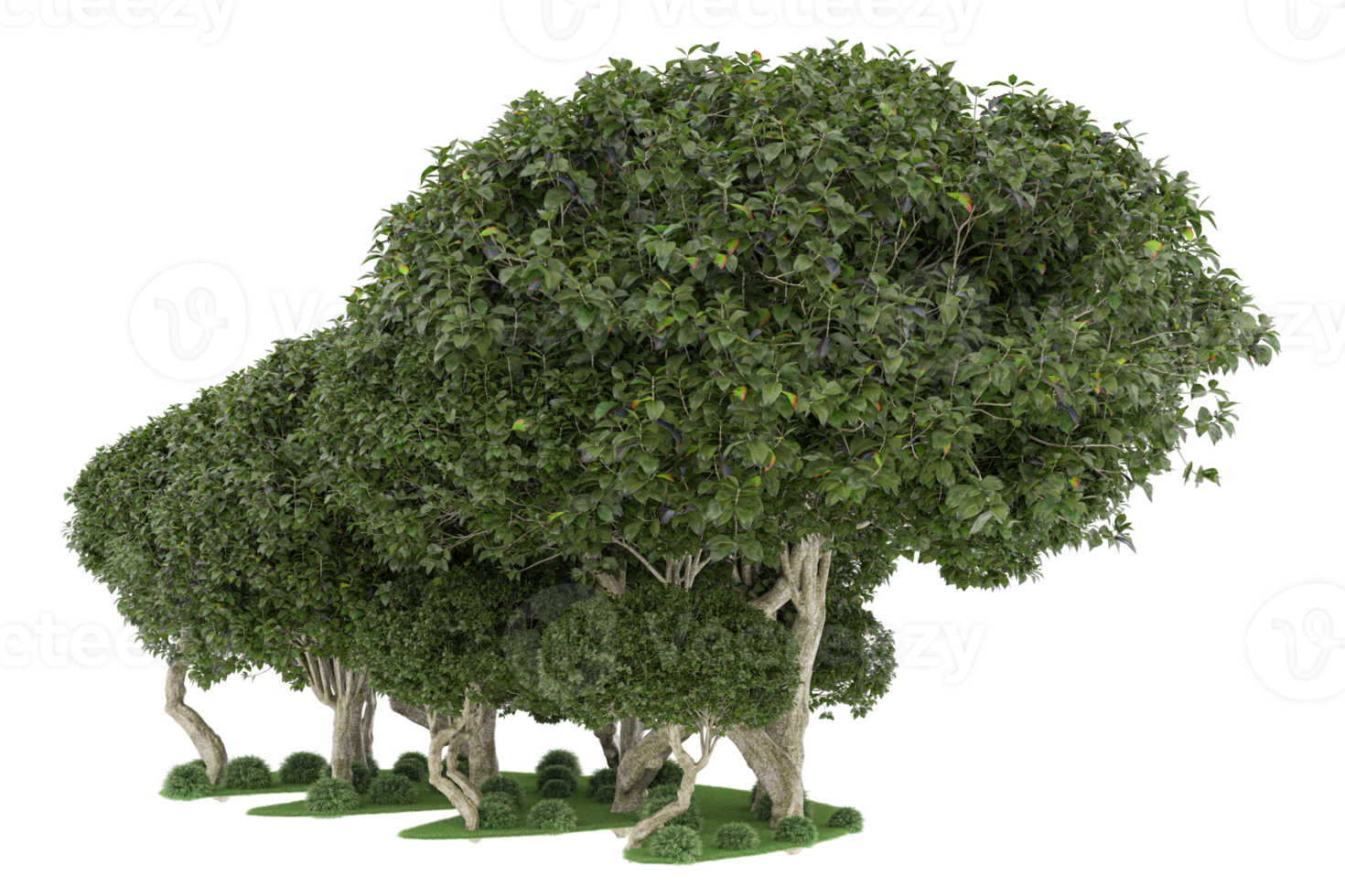 Realistic forest isolated on transparent background. 3d rendering - illustration png